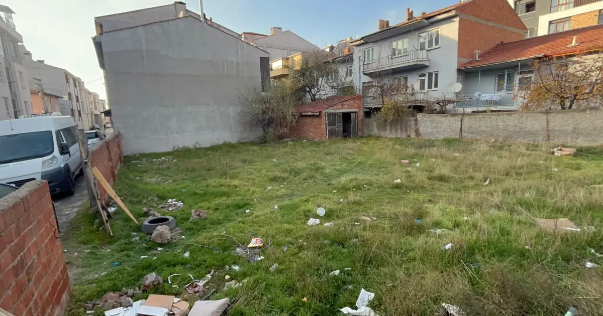 Amasya ve Eskişehir'de Tüyler Ürperten Manzara: Ölü Köpek ve Kediler Bulundu
