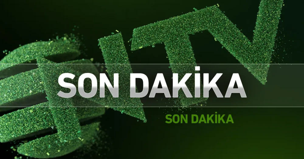 Formula 1'de şampiyon Lando Norris