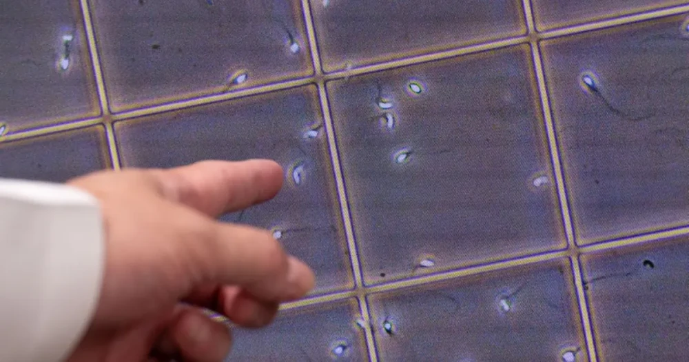 17 Yıl Süren Sperm Bağışının Ardından Ortaya Çıkan Genetik Tehlike: 197 Çocuğun Babası Olduğu Anlaşılan Donörün Mirası