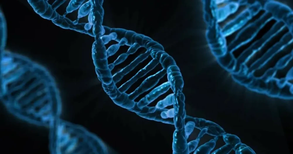 İnsan DNA'sında Kritik Bir Zayıf Nokta Keşfedildi: Mozaik Mutasyonların Kökeni Aydınlandı