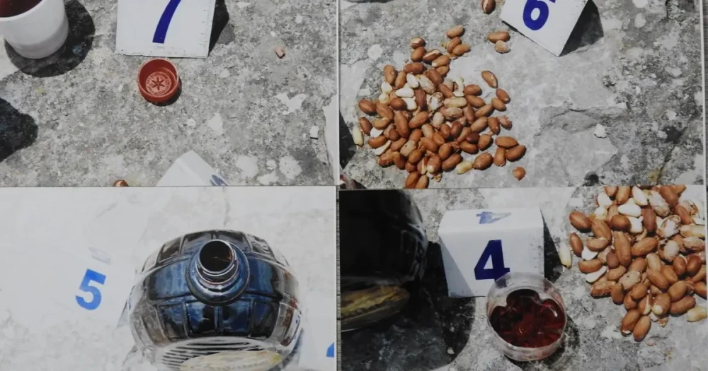 19 Yıl Sonra Gelen İtiraf: Cinayet Gizemi Aydınlandı