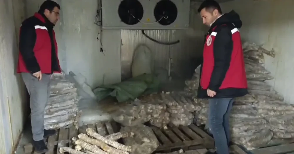 Manisa'da 4 Milyon Liralık Bozuk Kokoreç Ele Geçirildi