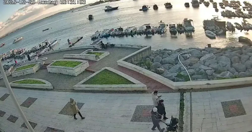Sahildeki Kediye Vahşet: Balıkçıdan Şok Eden Tekme