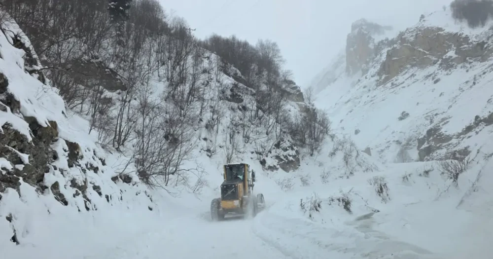 Artvin'de Çığ Tehlikesi: Çobanların Durumu Belirsiz