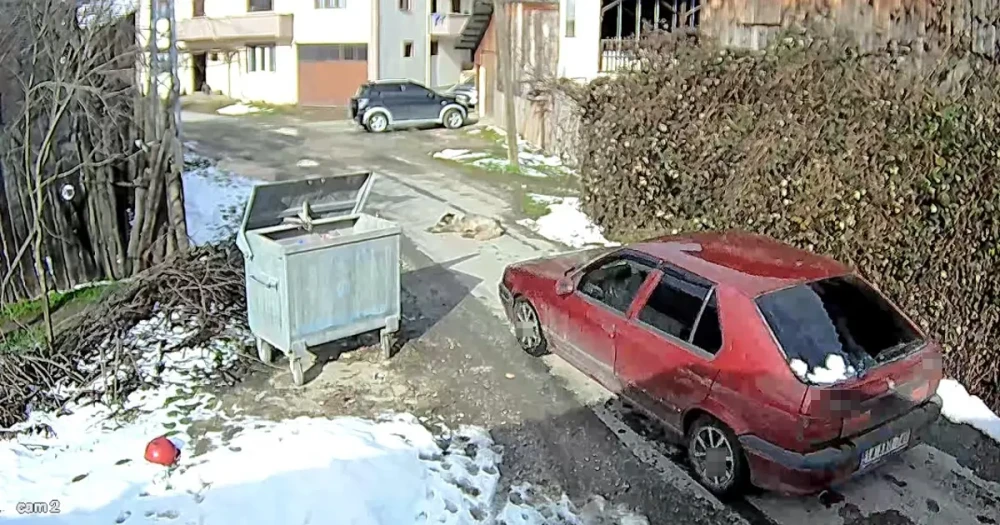 Sokak Köpeğine Acımasız Çarpma: Sürücü Kayıplara Karıştı