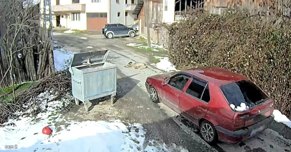 Bolu'da Sokak Köpeğine Çarparak Kaçan Sürücü Yakalandı