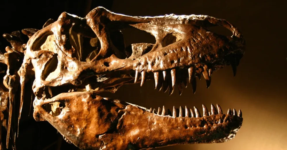 T-Rex'in Büyüme Gizemi Çözüldü: Dinozor Tarihi Yeniden Yazılıyor