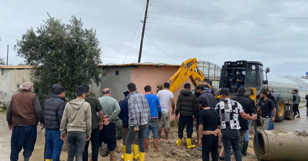 Küçük Berra'nın Tahliye Kanalında Kaybı: Acı Haber