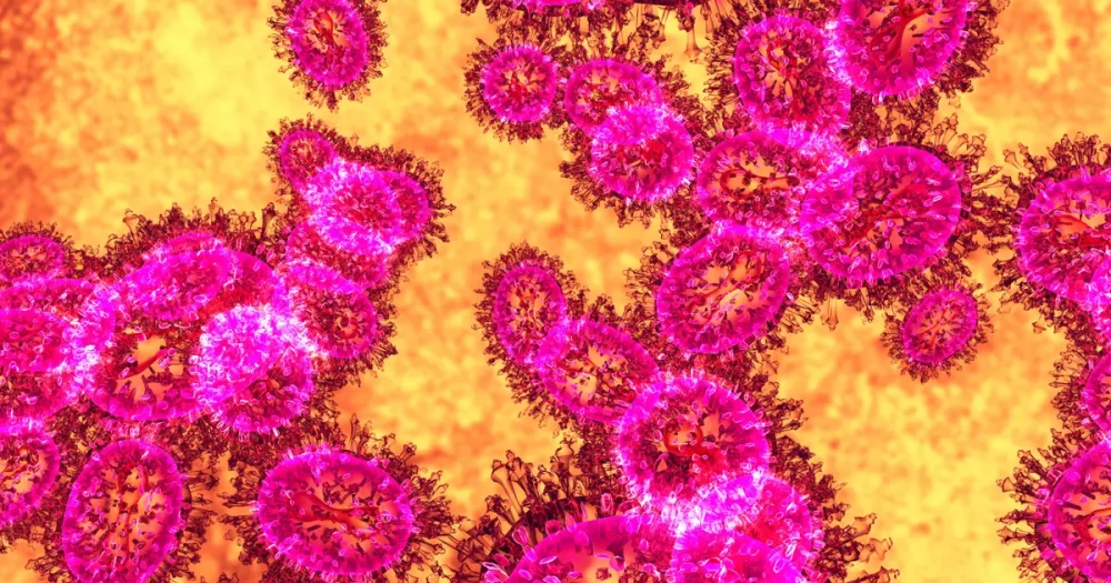 Nipah Virüsü Asya'da Endişe Yaratıyor: Havalimanları Alarmda