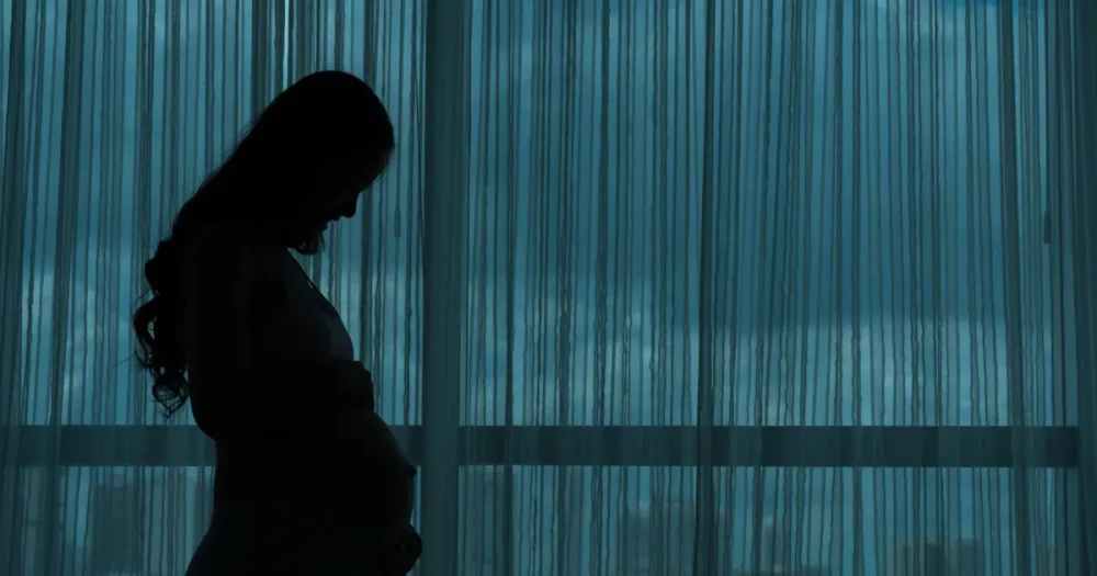 Fransa'da Dondurucuda Bebek Cesetleri Bulundu: Anne Tutuklandı
