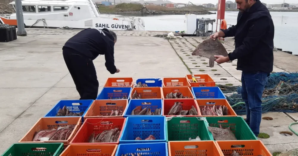 Kaçak Avcılığa Darbe: 850 Kilogram Kalkan Balığına El Konuldu, 5 Kişiye Ağır Cezalar Kesildi
