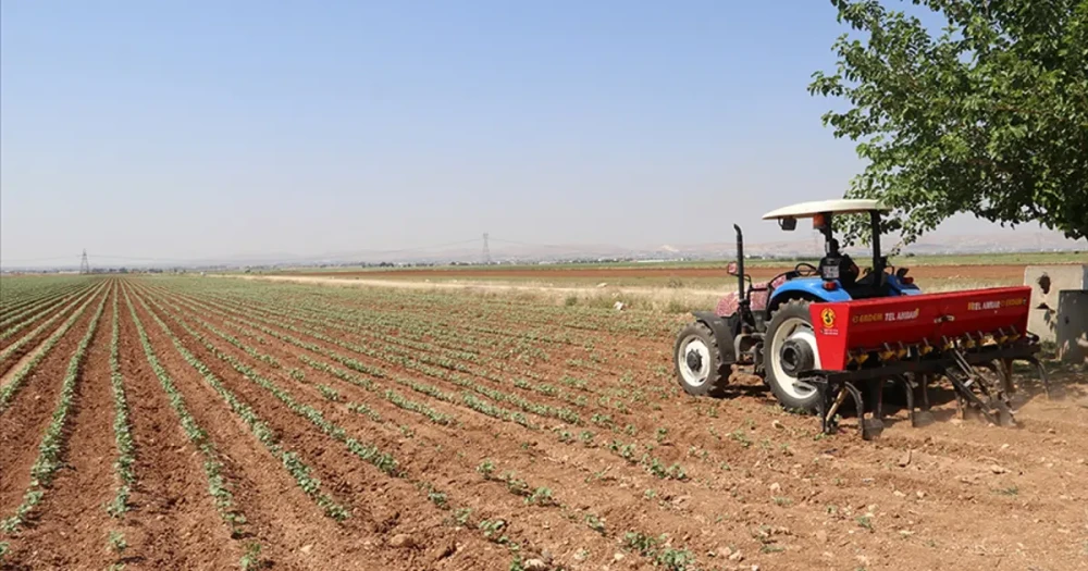 Gübre Tedarikinde Yeni Dönem: Gümrük Vergileri Sıfırlandı