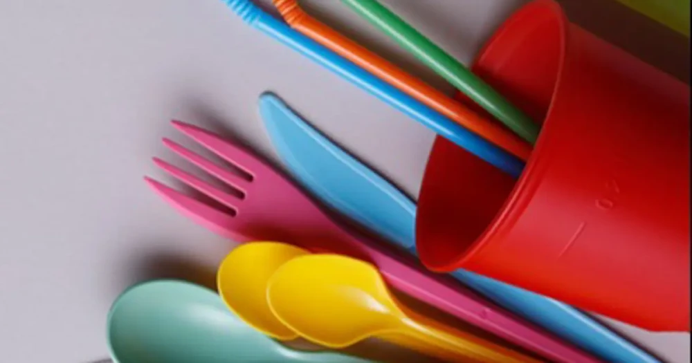 Tek Kullanımlık Plastiklere Veda: Alternatifler ve Gelecek