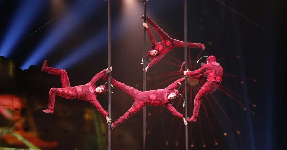 Cirque du Soleil, 10 Yıl Aradan Sonra İstanbul'a Dönüyor: "OVO" Sahnelenecek