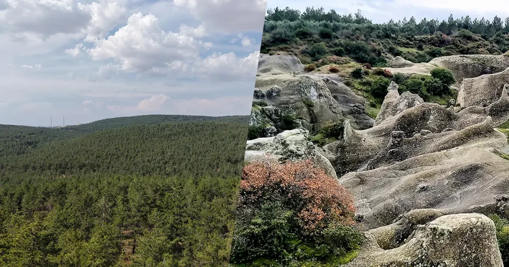 Manisa Akhisar ve Gaziantep Erikçe’de Yeni Tabiat Parkları Açıklandı