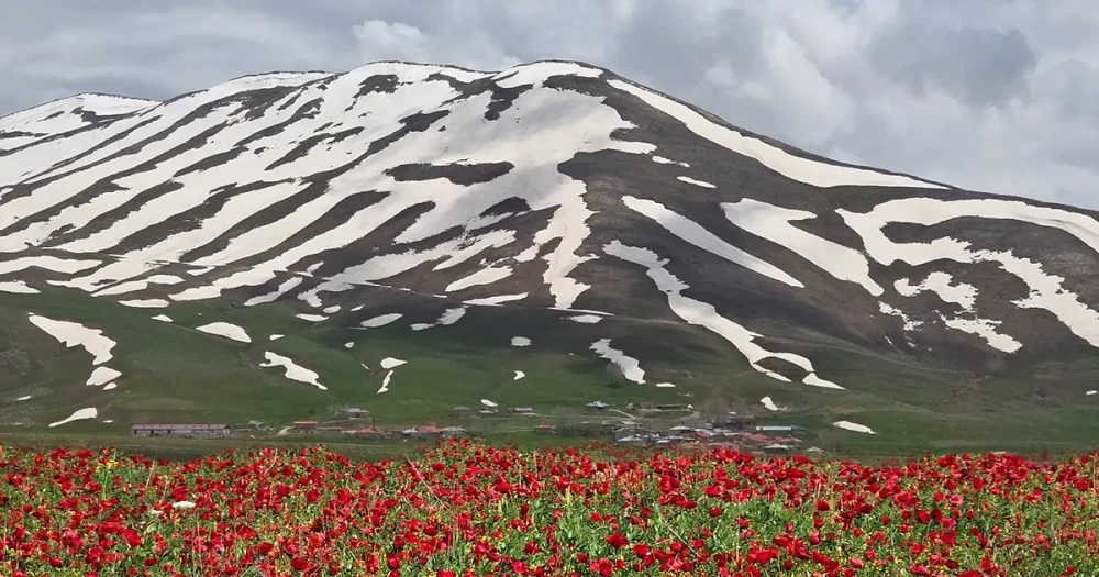 Görenler İnanamadı: Aynı Günde İki Farklı Mevsim Yaşanıyor
