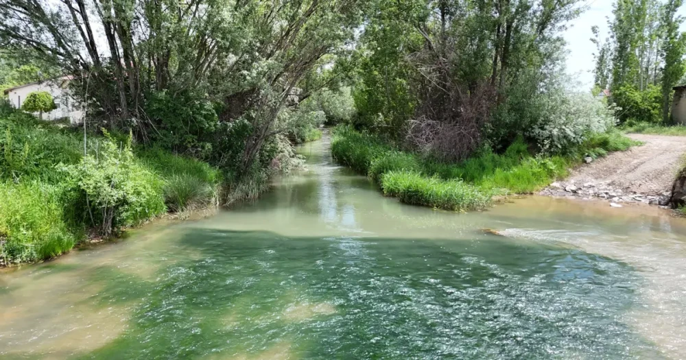 Türkülere Konu Olan Tecer Irmağı Eski Günlerine Döndü