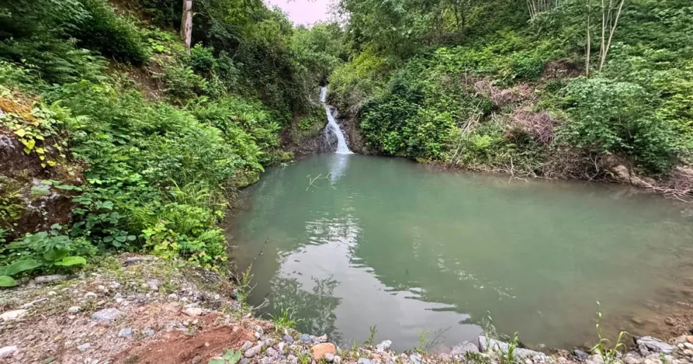 Artvin’de İmam ve Müezzin Girdikleri Gölette Boğuldu