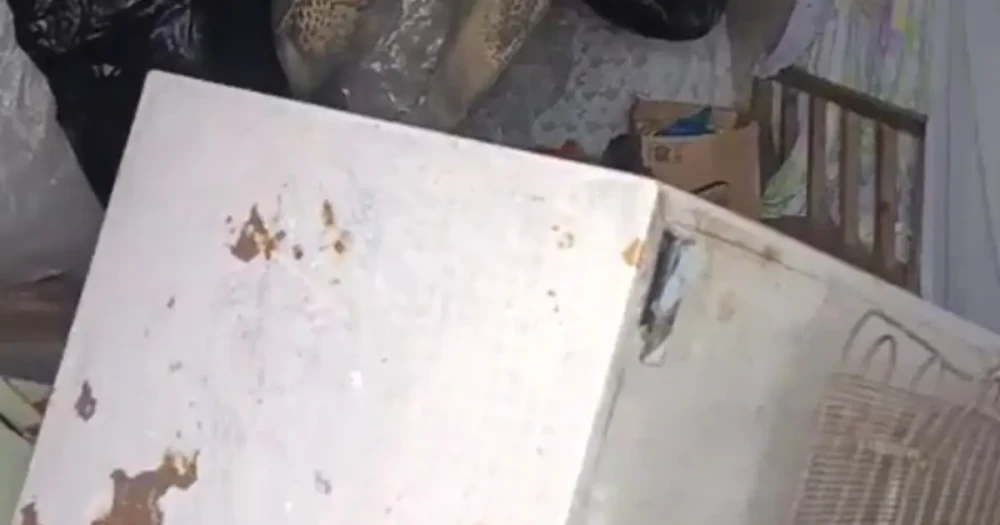 Bir günde 20 eve giren ayı, Kaçkar Koçdüzü Yaylası sakinlerini tedirgin etti