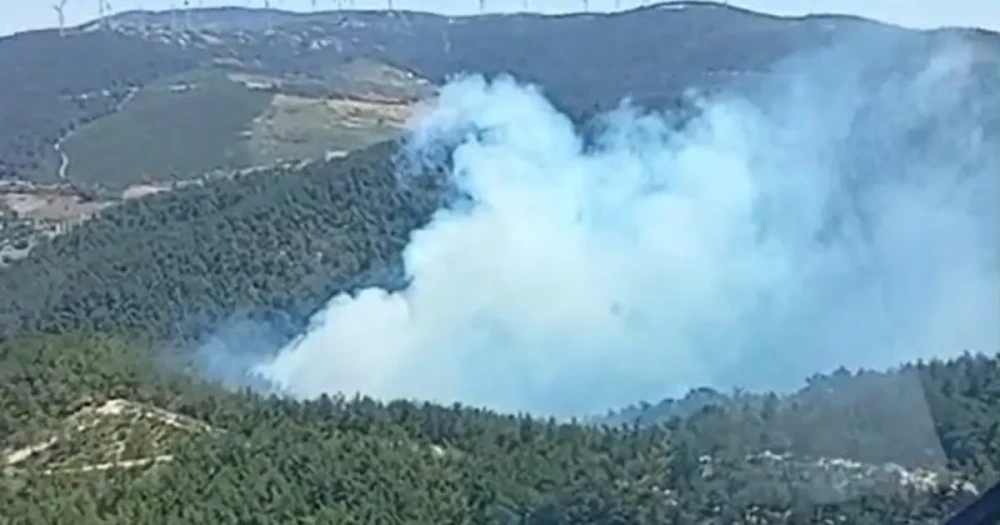 Manisa Soma'da orman yangını. Ekipler müdahale ediyor