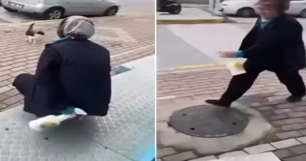 Kedinin Yüzüne Yağ Çözücü Sıkıldı: 4 Taksitli 1.5 Kilo Para Cezası