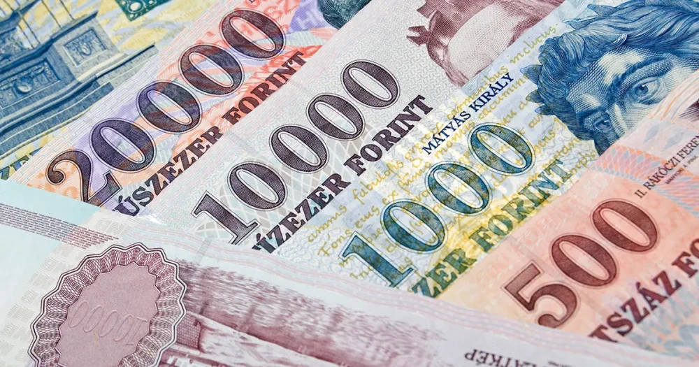 Macaristan Euro’ya Geçiş İçin Hazırlıklarını Tamamlıyor