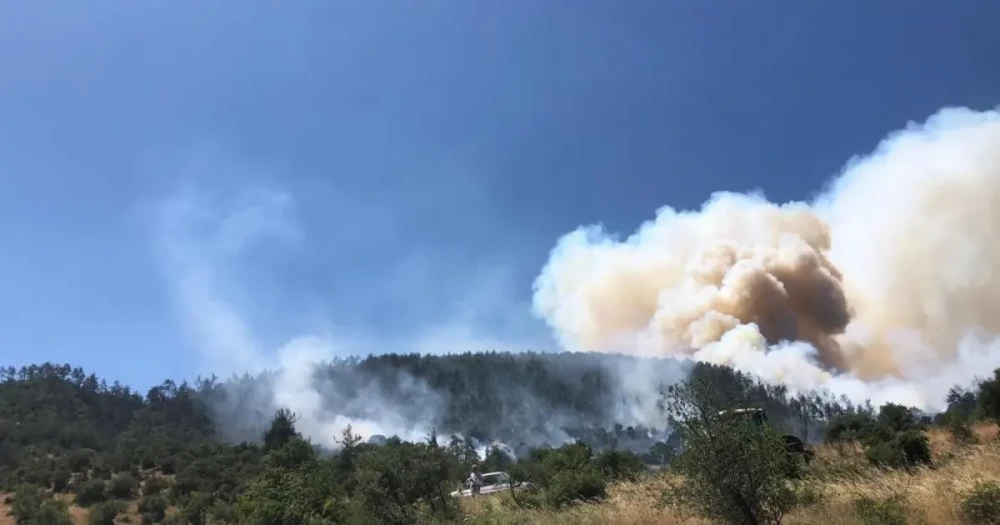 Balıkesir Kepsut’ta Orman Yangını Kontrol Altına Alınmaya Çalışılıyor