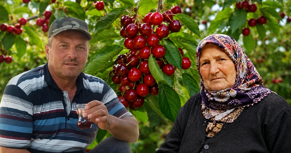 Kiraz Yedikten Sonra Hastanede Ölüm: Çiftin Trajedisi