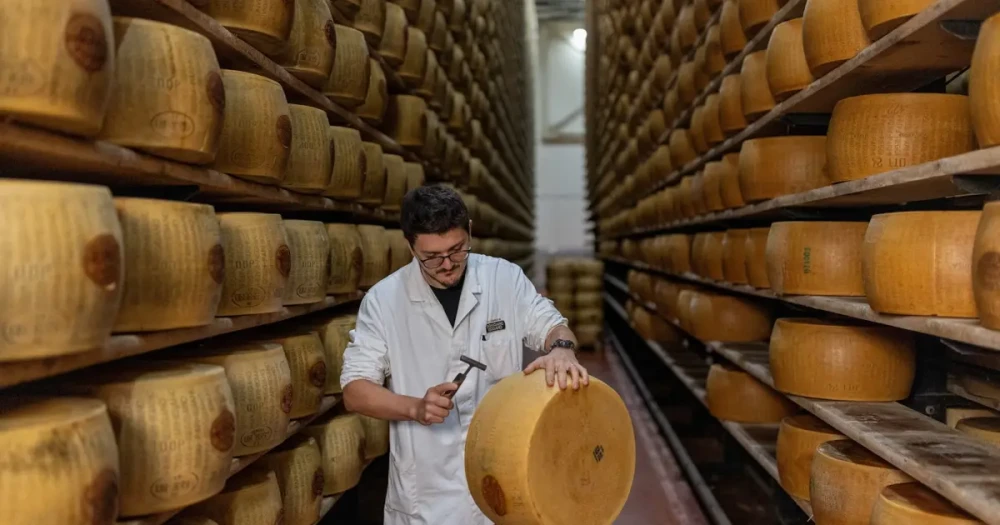 Parmesan Bankası: 4,5 Milyar Euro Kazançla Yılda Yükselen Kavurucu Sıcaklar