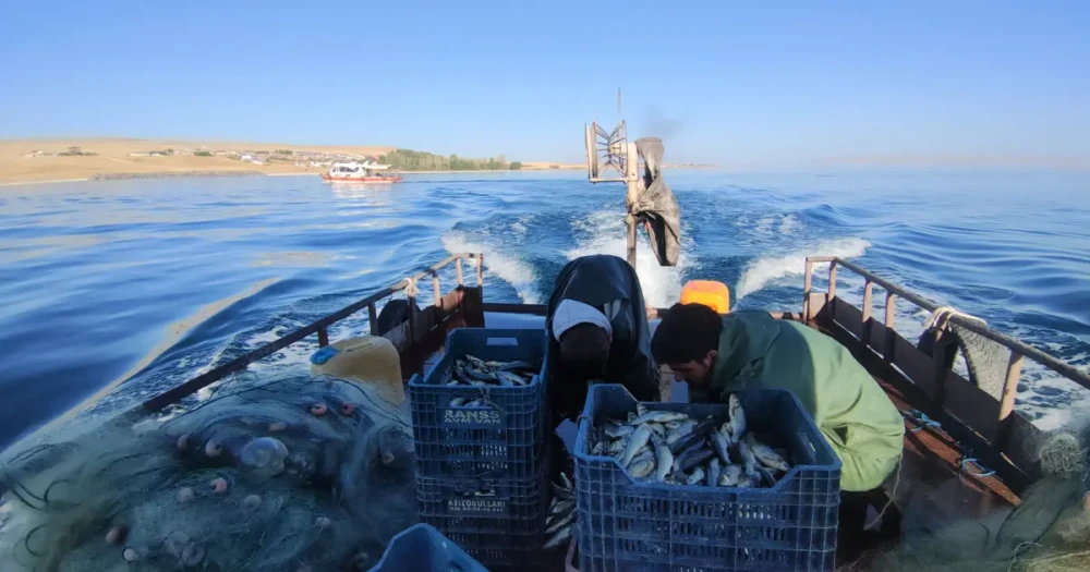 Sezon açıldı: Van'da 90 günlük yasak sona erdi