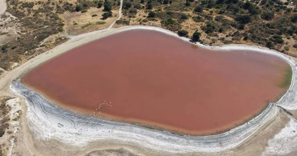 Doğanın Gizemi: Kalpli Göl Yeniden Pembeye Büründü