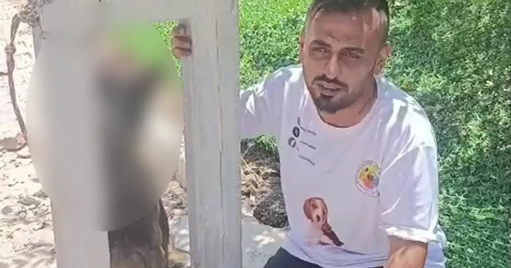 Belçika kurdunu zehirleyip direğe asarak telef ettiler