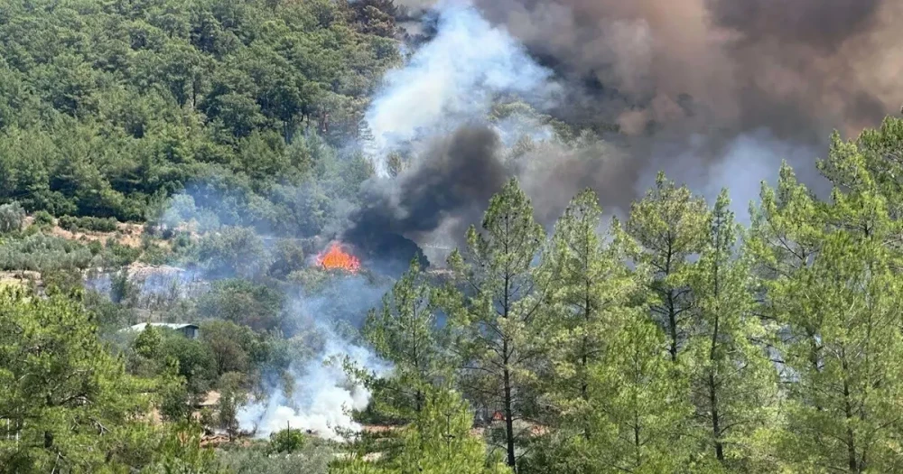 Muğla'da Orman Yangını: Kepez'te Çamlıca Mahallesi Tahliye Edildi, Alevler Kontrol Altına Alındı